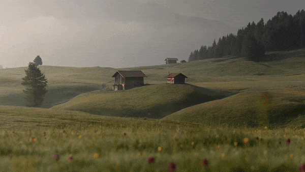 AI depth effect wallpaper demo showing parallax 3D effect from flat photos